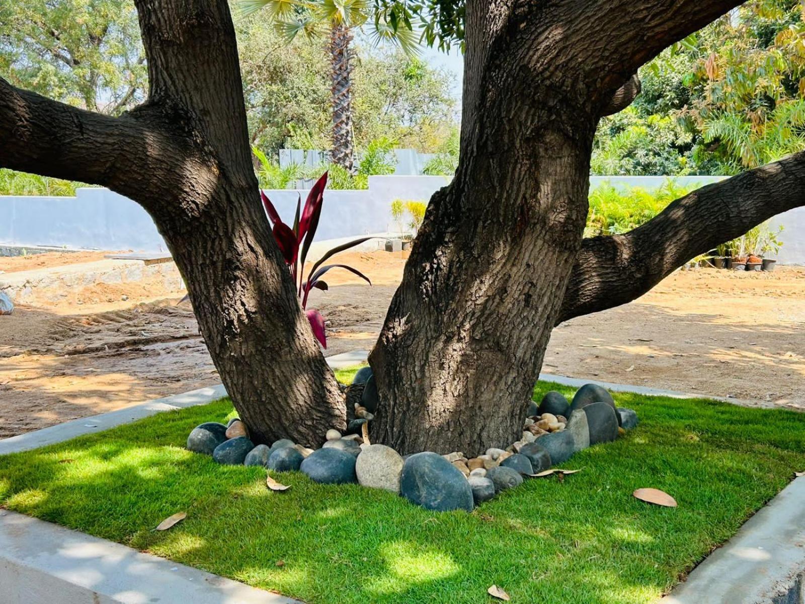 Hampi Village Resort & Tutti Cafe エクステリア 写真