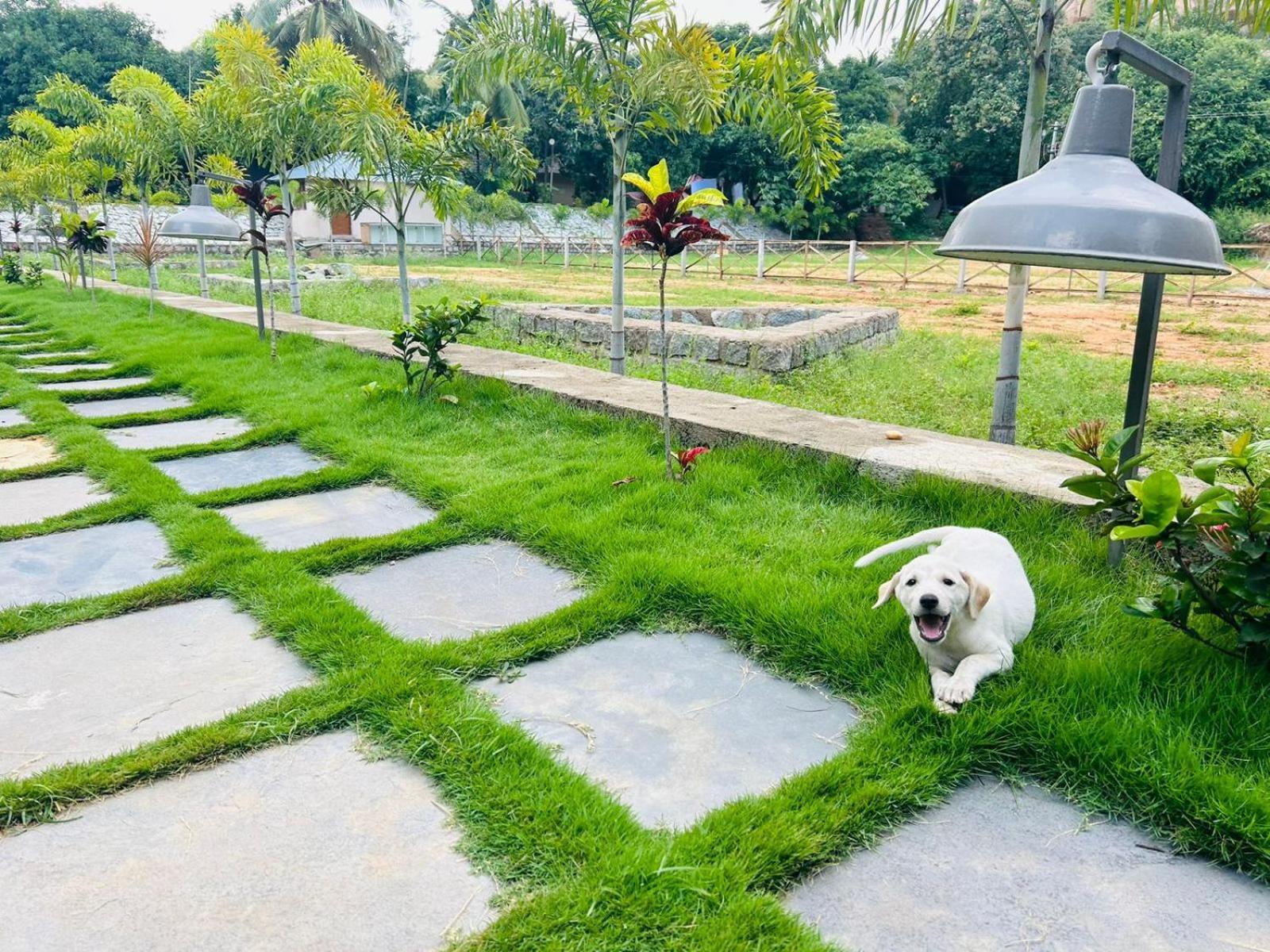 Hampi Village Resort & Tutti Cafe エクステリア 写真
