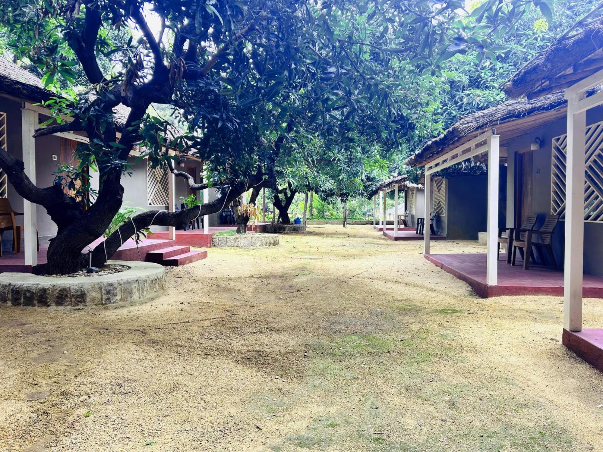 Hampi Village Resort & Tutti Cafe エクステリア 写真
